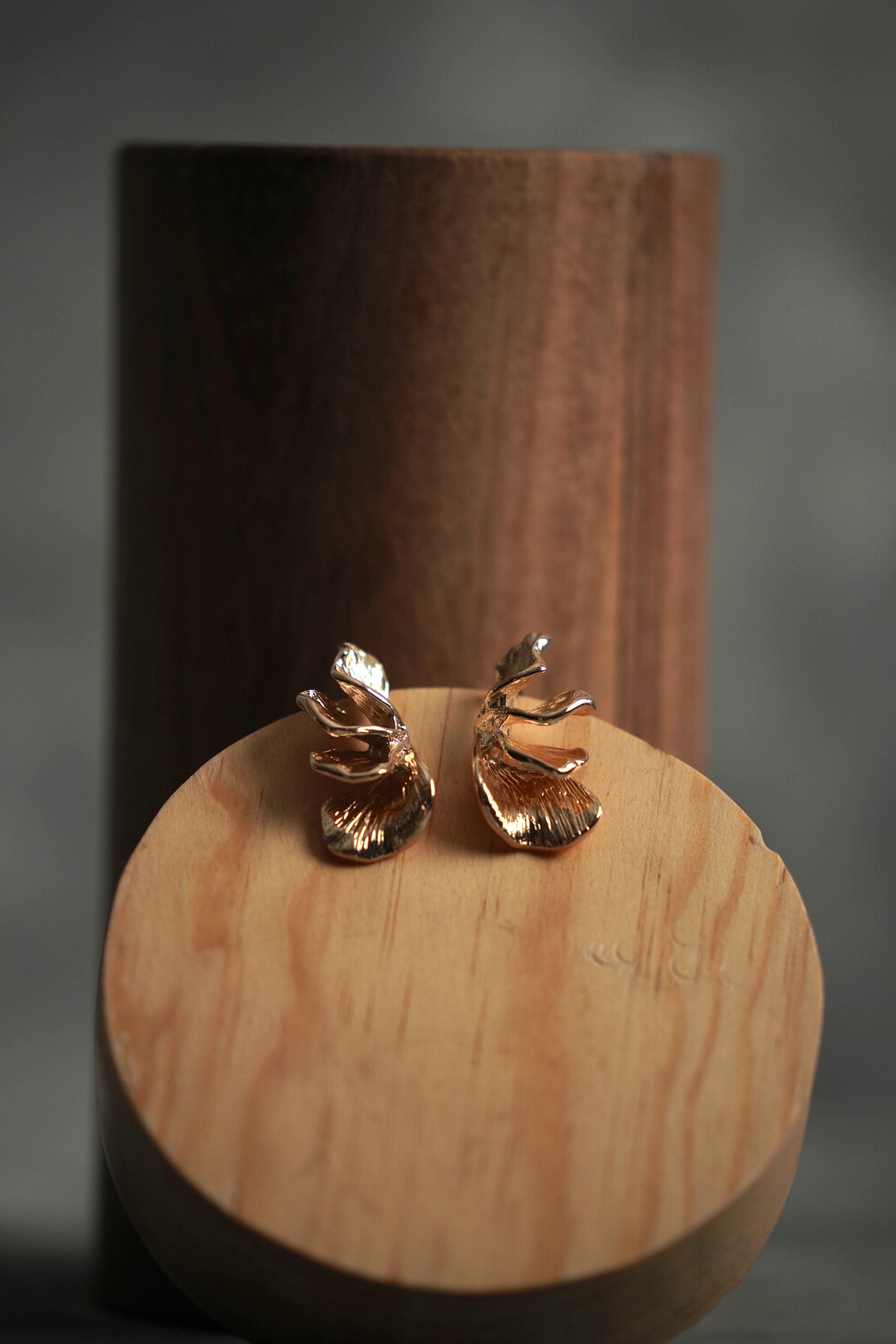 Arete Hoja