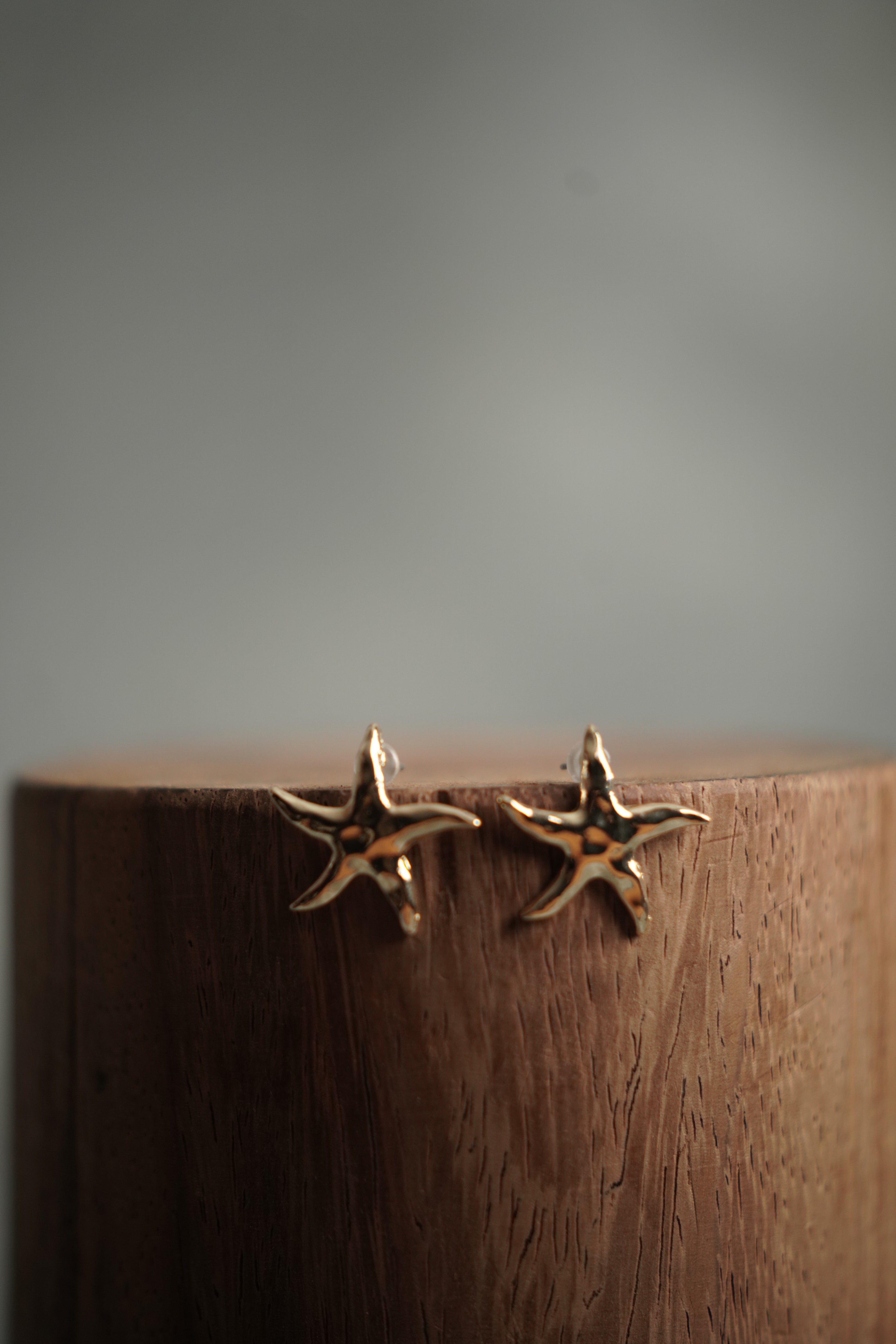Aretes Estrellitas