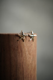 Aretes Estrellitas