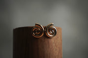 Aretes Caracol