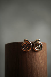 Aretes Caracol