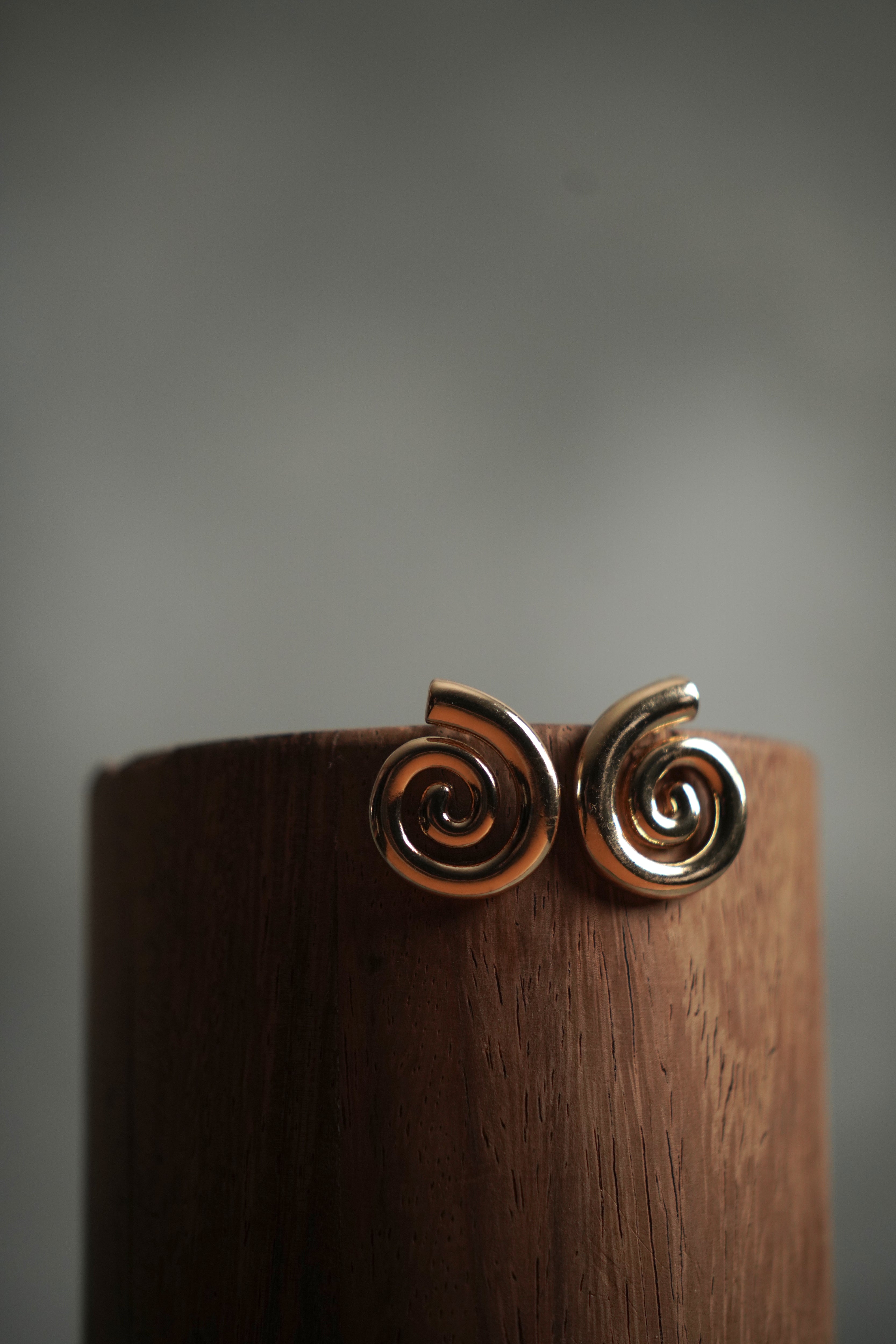 Aretes Caracol